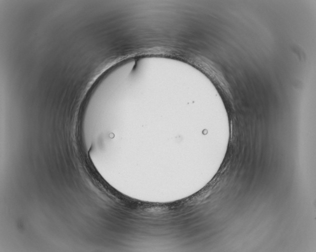 X0000111350156200908211242