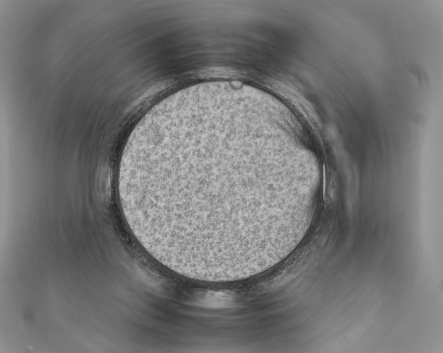 X0000111350157200908211242