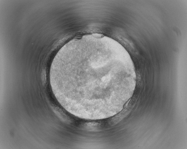 X0000111350158200908211242