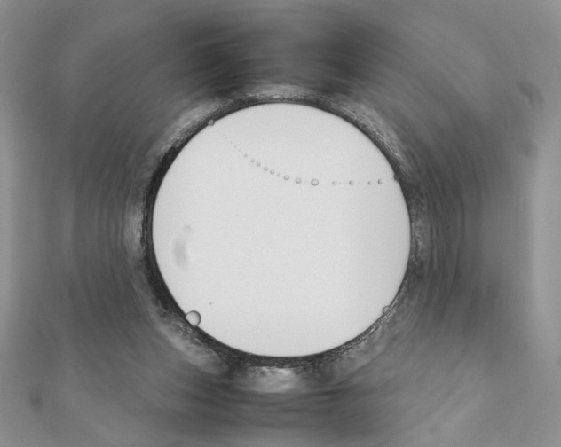 X0000111350159200908211242