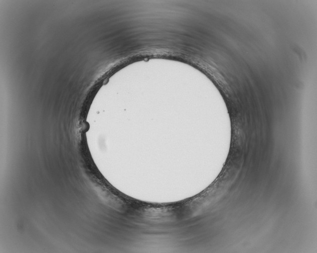 X0000111350160200908211242