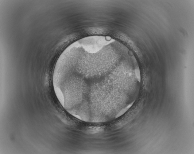 X0000111350161200908211242