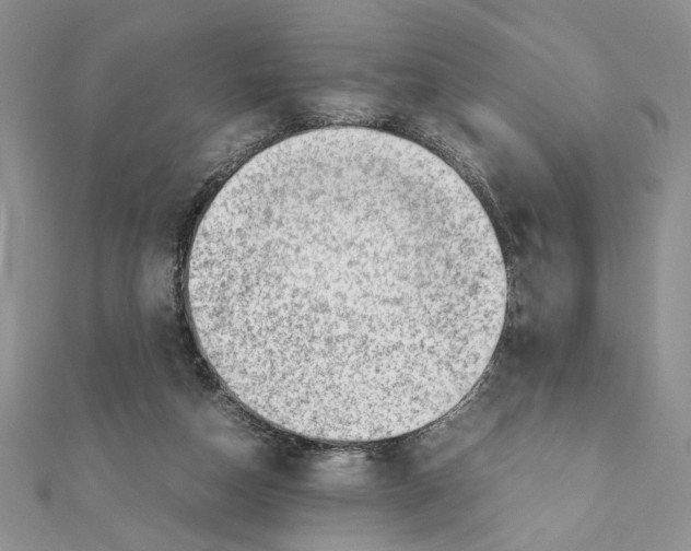 X0000111350162200908211242
