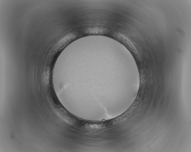 X0000111350163200908211242