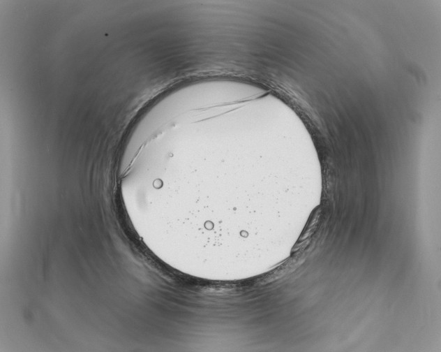 X0000111350164200908211242