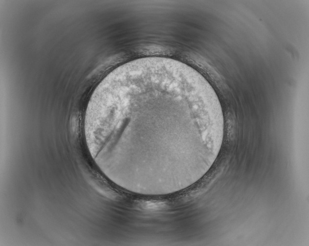 X0000111350165200908211242