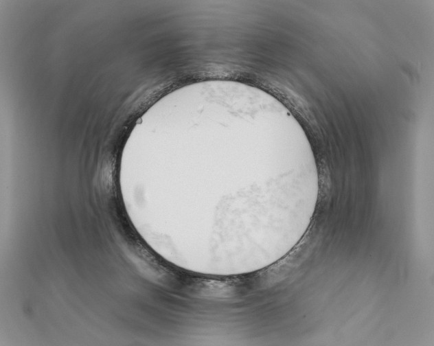 X0000111350166200908211242