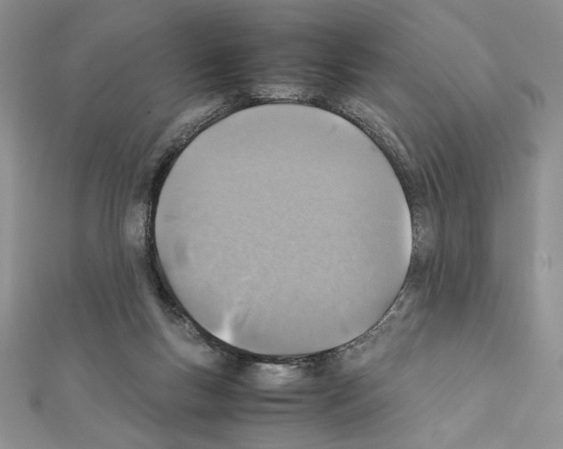 X0000111350167200908211242