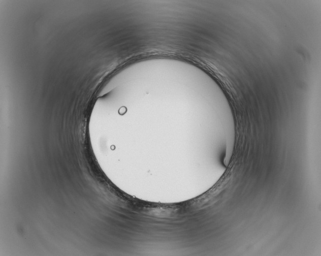 X0000111350168200908211242