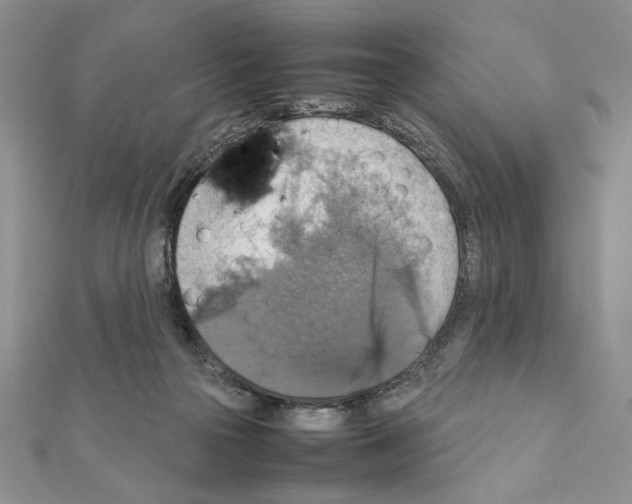 X0000111350169200908211242