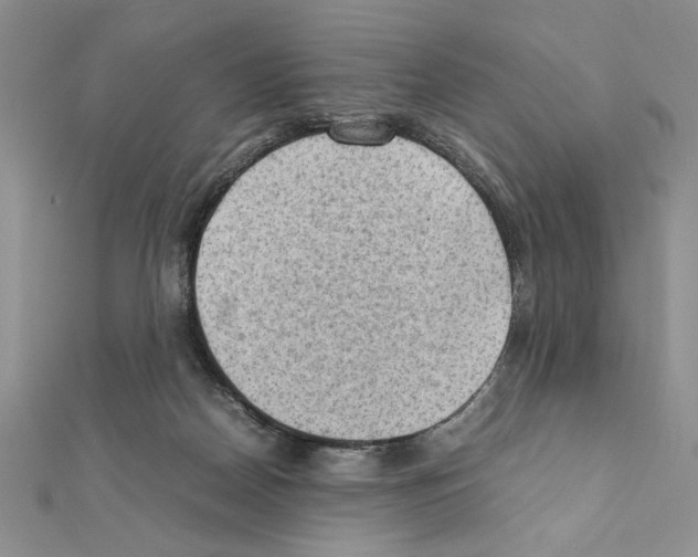 X0000111350170200908211242
