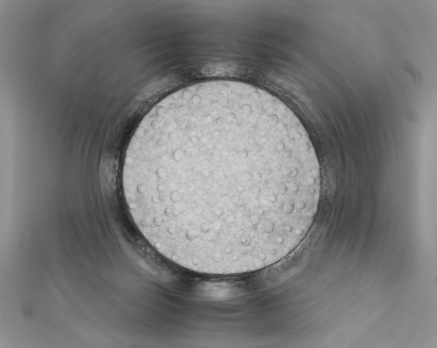 X0000111350171200908211242