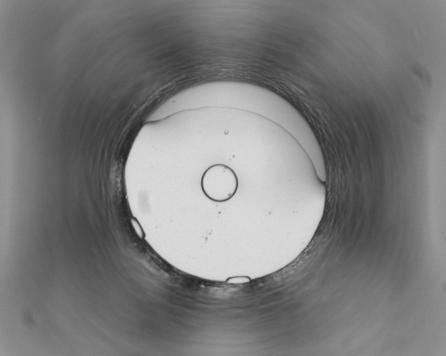 X0000111350172200908211242