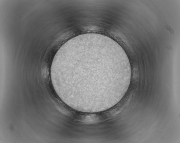 X0000111350173200908211242