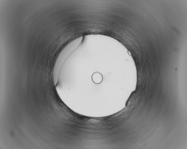 X0000111350176200908211242