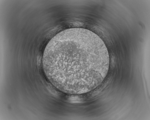 X0000111350177200908211242