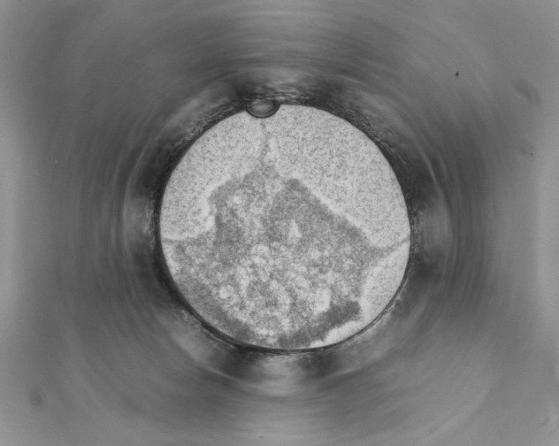 X0000111350178200908211242