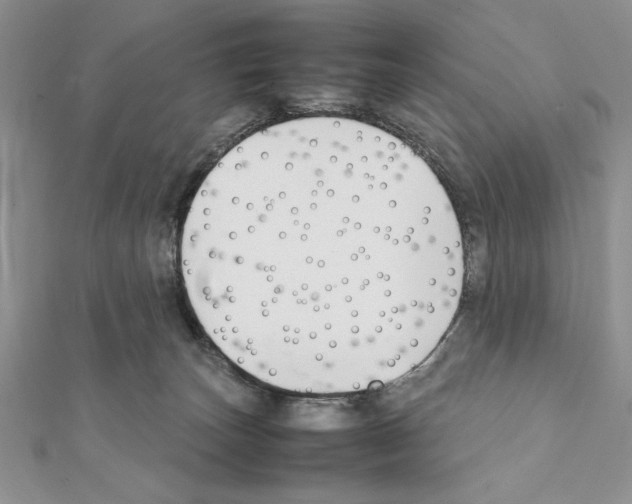 X0000111350179200908211242