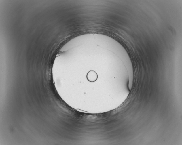 X0000111350180200908211242