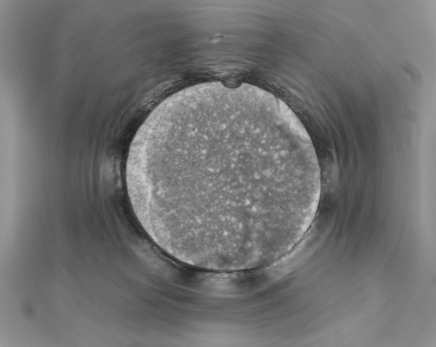 X0000111350182200908211242