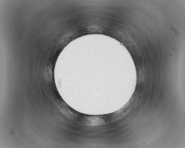 X0000111350183200908211242