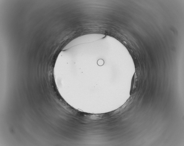 X0000111350184200908211242