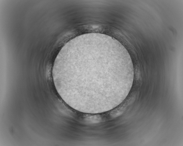 X0000111350185200908211242