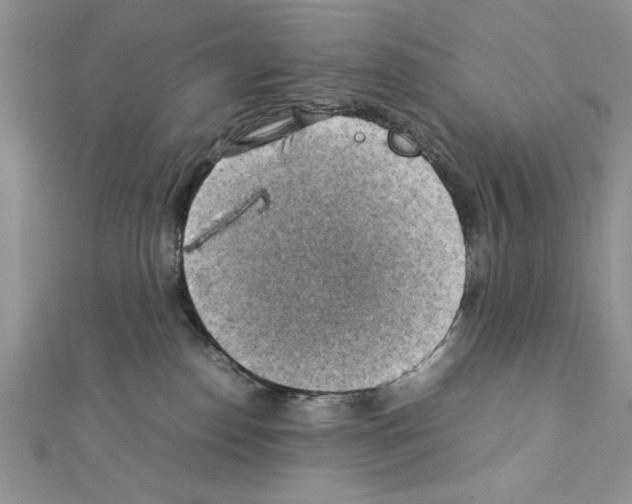 X0000111350186200908211242