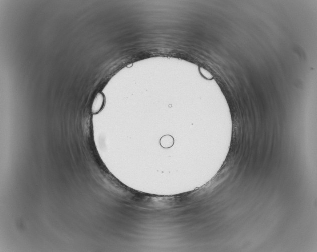 X0000111350188200908211242