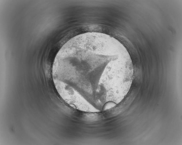 X0000111350189200908211242