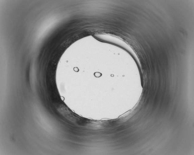 X0000111350190200908211242