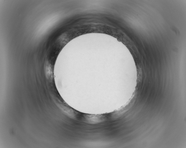 X0000111350191200908211242