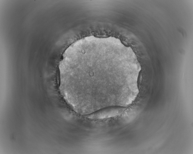 X0000111350192200908211242