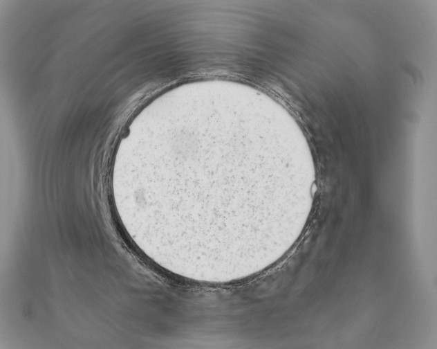 X0000111350193200908211242