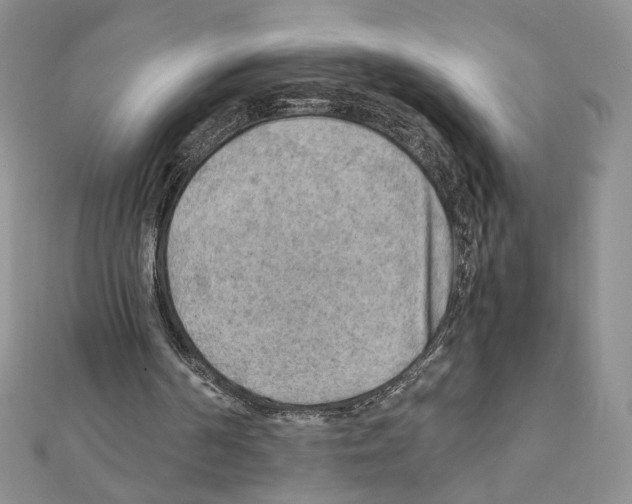 X0000111350194200908211242