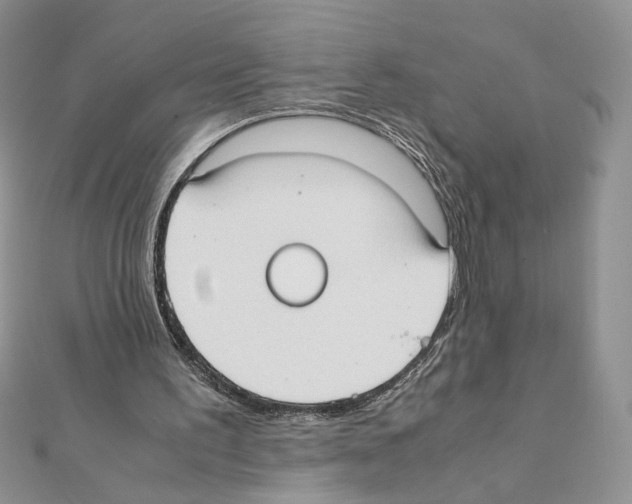 X0000111350195200908211242