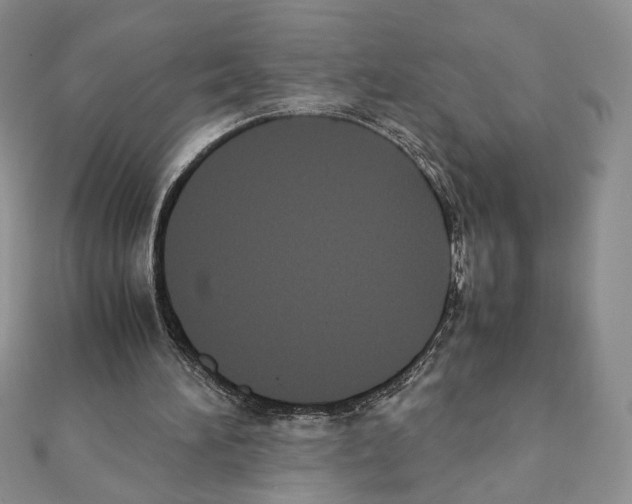 X0000111350196200908211242