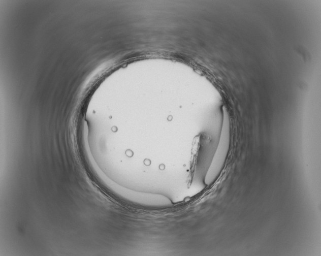 X0000111350197200908211242