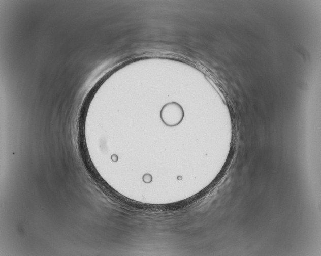 X0000111350199200908211242