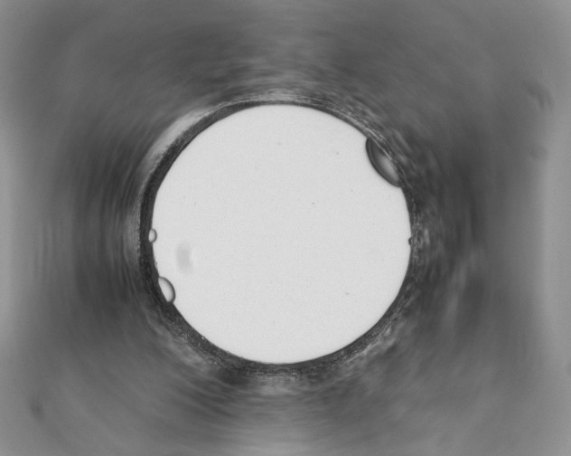 X0000111350200200908211242