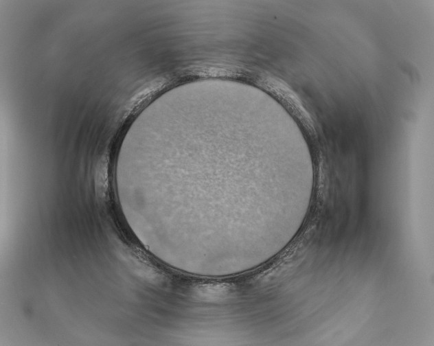 X0000111350202200908211242