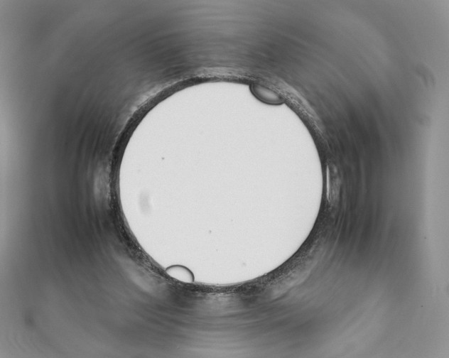 X0000111350204200908211242