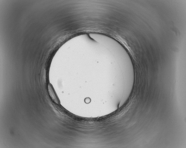 X0000111350205200908211242