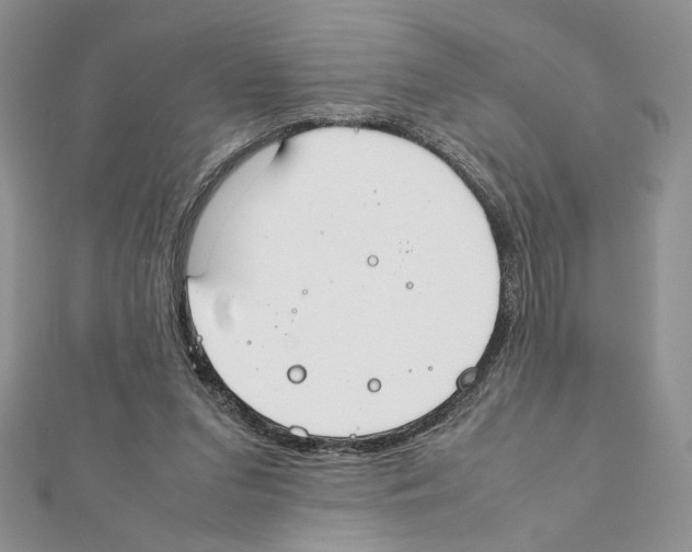 X0000111350207200908211242