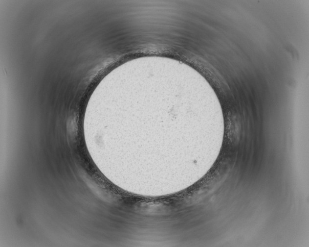 X0000111350208200908211242