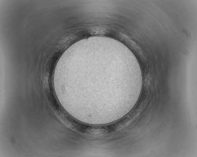 X0000111350209200908211242