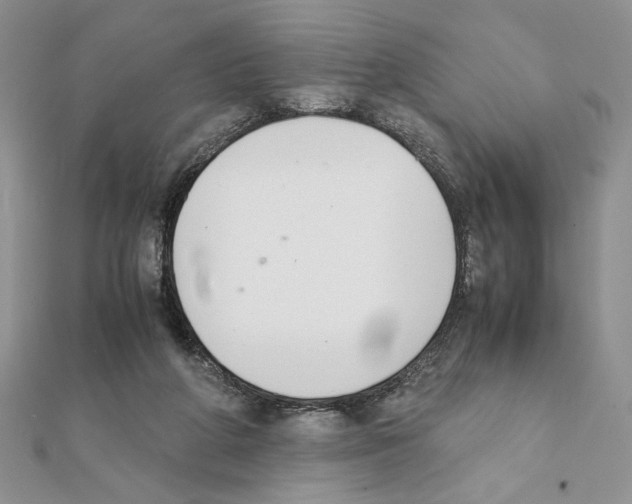 X0000111350210200908211242