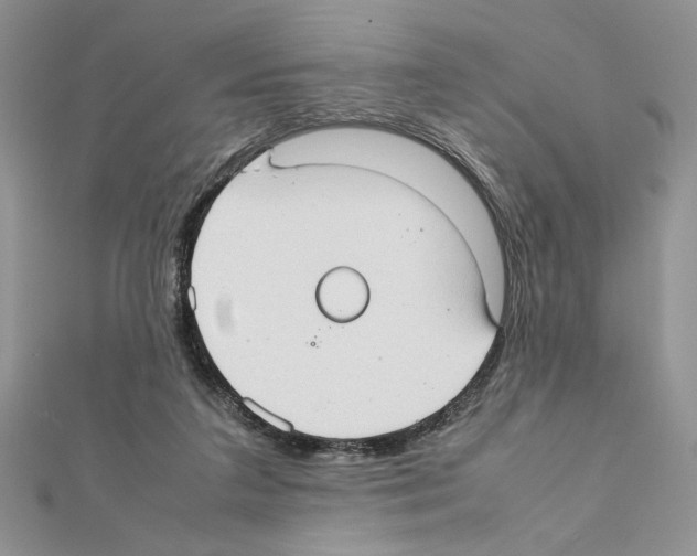 X0000111350211200908211242