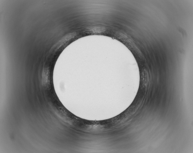 X0000111350212200908211242