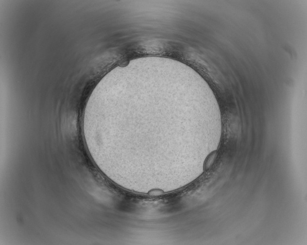 X0000111350213200908211242